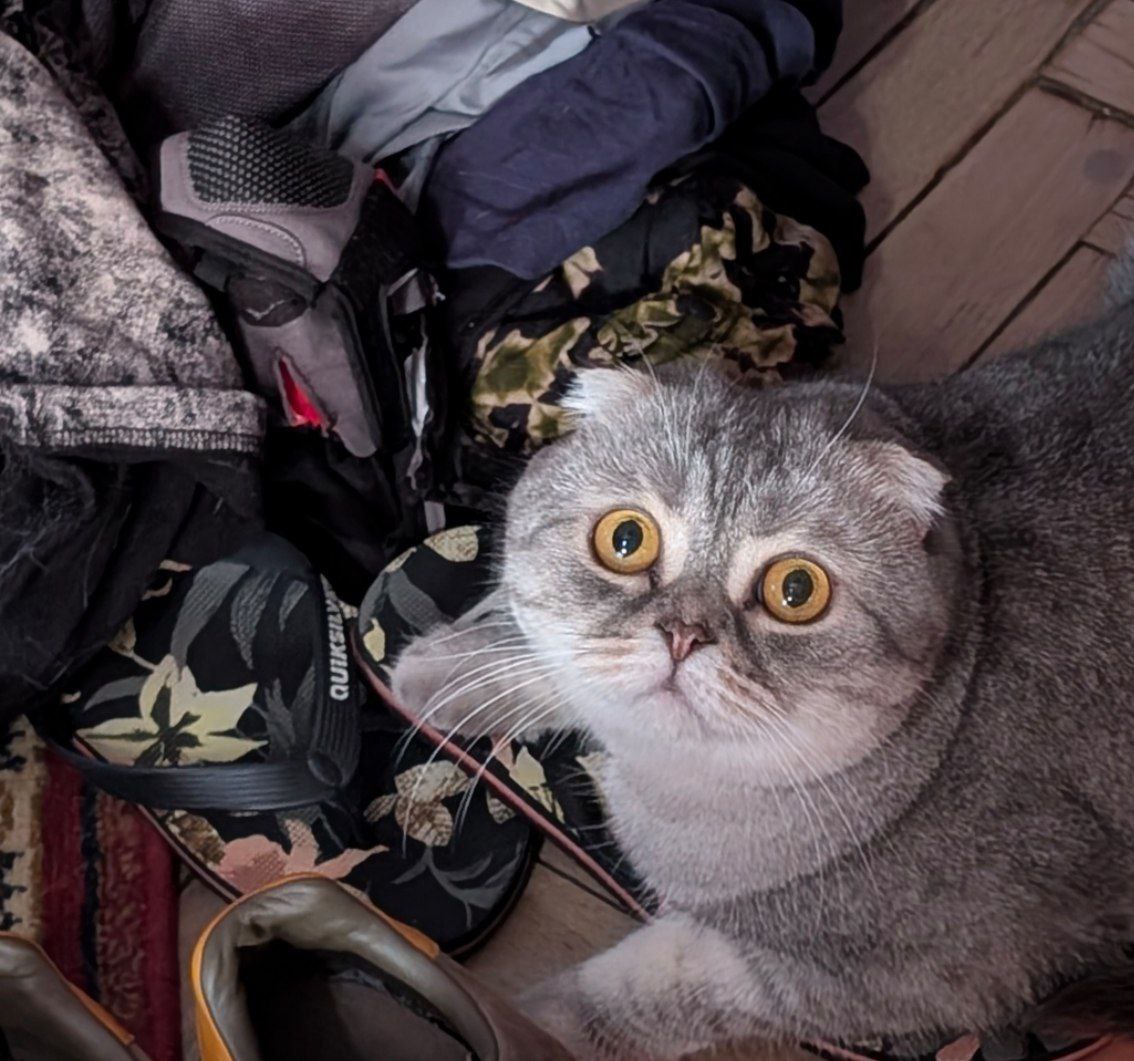 Финн не хочет отпускать на море