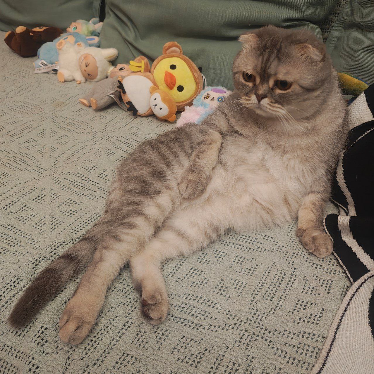 Прекрасный конец февраля без обнов