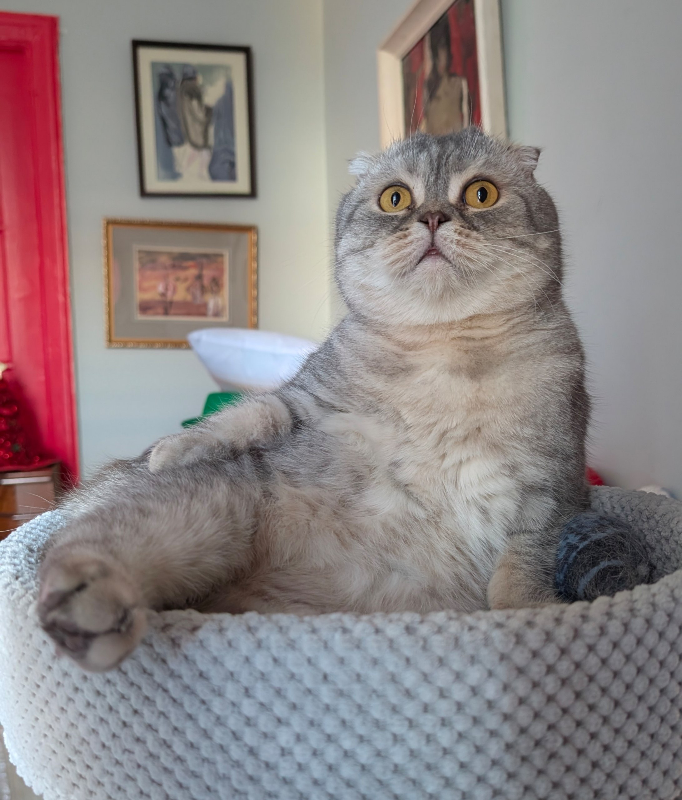 Вот вам Финн в ленту