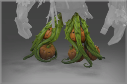 Creeping Calabash - Legs